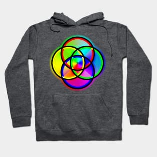 Plural Rings "Rabbit Hole" Design Hoodie